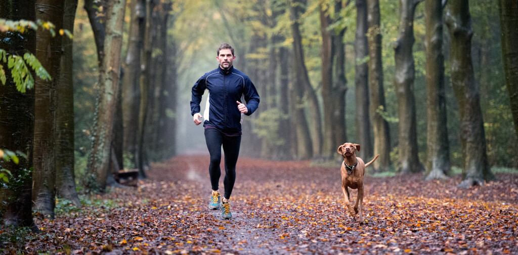 Man running in the Autumn forest