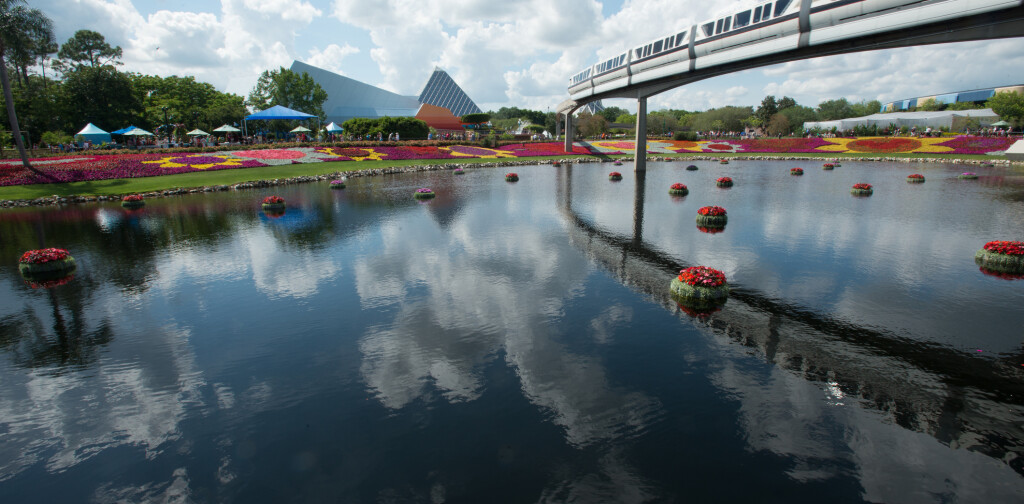 Monorail over flower fields
