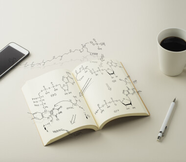 Scheme metabolism is depicted in notebook