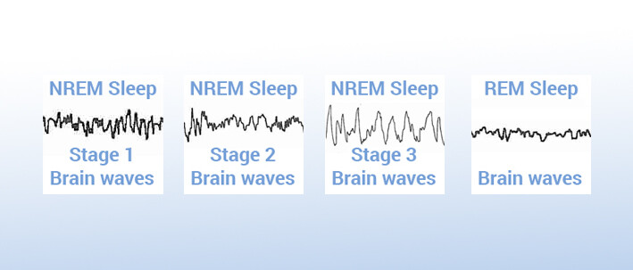 panneau sleep cycles waves